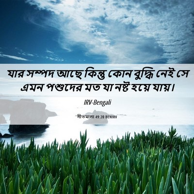 Picture 06 - গীতমালা 49:20 BENIRV - যার সম্পদ আছে - Bible Verse Picture