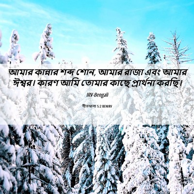 Picture 06 - গীতমালা 5:2 BENIRV - আমার কান্নার শব্দ - Bible Verse Picture