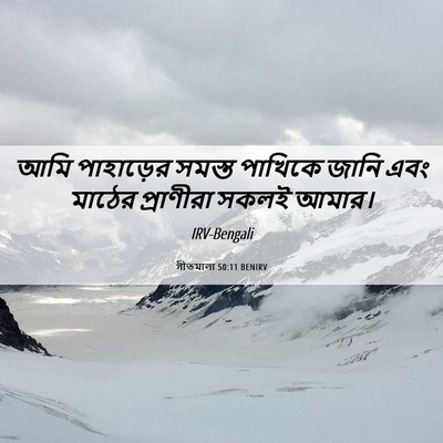 Picture 06 - গীতমালা 50:11 BENIRV - আমি পাহাড়ের - Bible Verse Picture