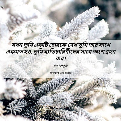 Picture 06 - গীতমালা 50:18 BENIRV - যখন তুমি একটি - Bible Verse Picture