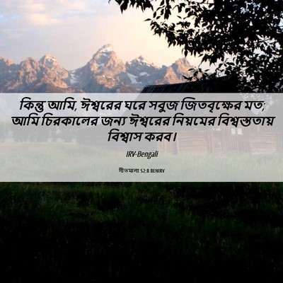 Picture 06 - গীতমালা 52:8 BENIRV - কিন্তু আমি, - Bible Verse Picture
