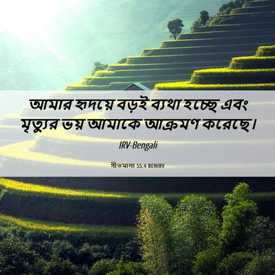 Picture 06 - গীতমালা 55:4 BENIRV - আমার হৃদয়ে বড়ই - Bible Verse Picture