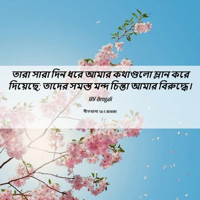 Picture 06 - গীতমালা 56:5 BENIRV - তারা সারা দিন ধরে - Bible Verse Picture