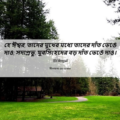 Picture 06 - গীতমালা 58:6 BENIRV - হে ঈশ্বর, তাদের - Bible Verse Picture