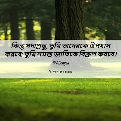 Picture 06 - গীতমালা 59:8 BENIRV - কিন্তু সদাপ্রভুু, - Bible Verse Picture