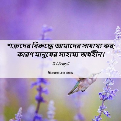Picture 06 - গীতমালা 60:11 BENIRV - শত্রুদের বিরুদ্ধে - Bible Verse Picture