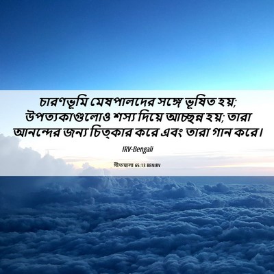 Picture 06 - গীতমালা 65:13 BENIRV - চারণভূমি - Bible Verse Picture