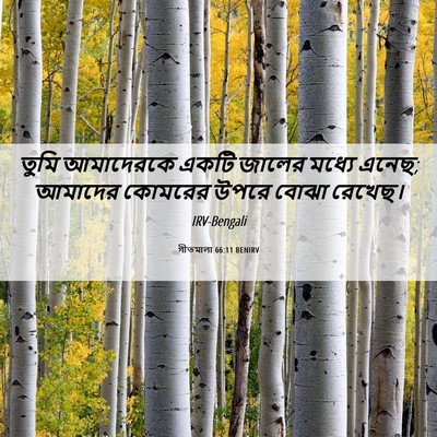 Picture 06 - গীতমালা 66:11 BENIRV - তুমি আমাদেরকে - Bible Verse Picture