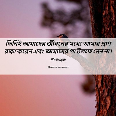 Picture 06 - গীতমালা 66:9 BENIRV - তিনিই আমাদের - Bible Verse Picture