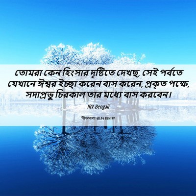 Picture 06 - গীতমালা 68:16 BENIRV - তোমরা কেন হিংসার - Bible Verse Picture