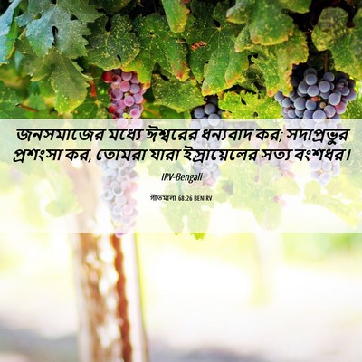 Picture 06 - গীতমালা 68:26 BENIRV - জনসমাজের মধ্যে - Bible Verse Picture