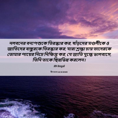 Picture 06 - গীতমালা 68:30 BENIRV - নলবনের বন্যপশুকে - Bible Verse Picture