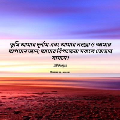 Picture 06 - গীতমালা 69:19 BENIRV - তুমি আমার দূর্নাম - Bible Verse Picture