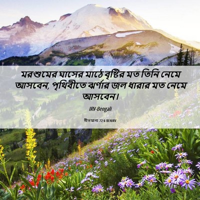 Picture 06 - গীতমালা 72:6 BENIRV - মরশুমের ঘাসের - Bible Verse Picture
