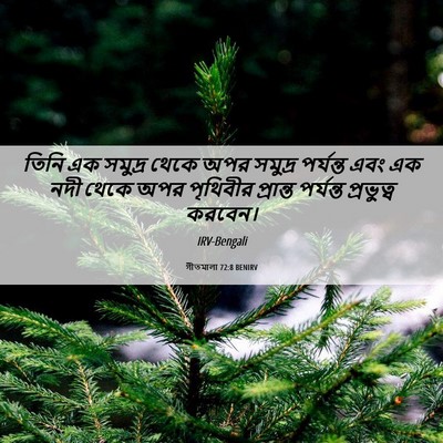 Picture 06 - গীতমালা 72:8 BENIRV - তিনি এক সমুদ্র - Bible Verse Picture