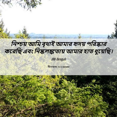 Picture 06 - গীতমালা 73:13 BENIRV - নিশ্চয় আমি বৃথাই - Bible Verse Picture
