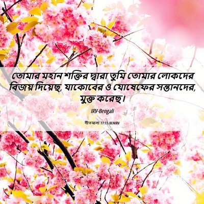 Picture 06 - গীতমালা 77:15 BENIRV - তোমার মহান শক্তির - Bible Verse Picture