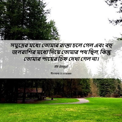 Picture 06 - গীতমালা 77:19 BENIRV - সমুদ্রের মধ্যে - Bible Verse Picture