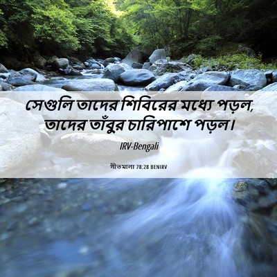 Picture 06 - গীতমালা 78:28 BENIRV - সেগুলি তাদের - Bible Verse Picture
