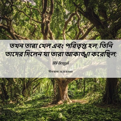 Picture 06 - গীতমালা 78:29 BENIRV - তখন তারা খেল এবং - Bible Verse Picture