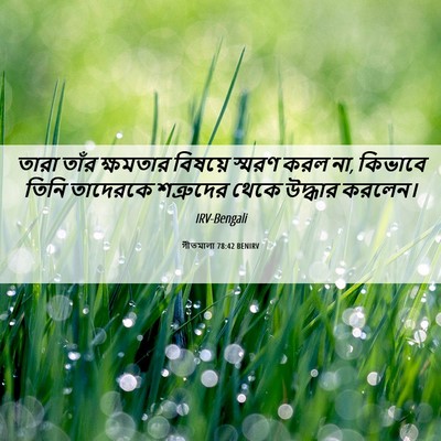 Picture 06 - গীতমালা 78:42 BENIRV - তারা তাঁর ক্ষমতার - Bible Verse Picture