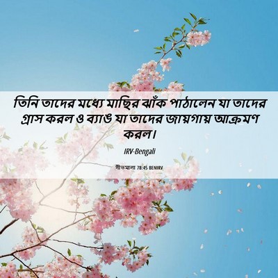 Picture 06 - গীতমালা 78:45 BENIRV - তিনি তাদের মধ্যে - Bible Verse Picture