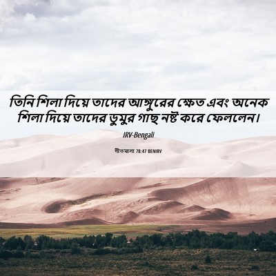 Picture 06 - গীতমালা 78:47 BENIRV - তিনি শিলা দিয়ে - Bible Verse Picture