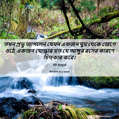 Picture 06 - গীতমালা 78:65 BENIRV - তখন প্রভু জাগলেন - Bible Verse Picture