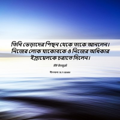 Picture 06 - গীতমালা 78:71 BENIRV - তিনি ভেড়াদের - Bible Verse Picture