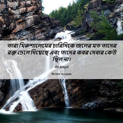Picture 06 - গীতমালা 79:3 BENIRV - তারা যিরুশালেমের - Bible Verse Picture