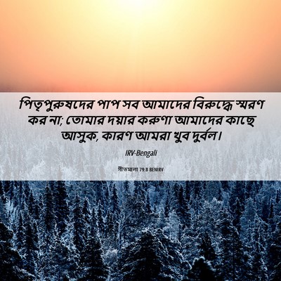 Picture 06 - গীতমালা 79:8 BENIRV - পিতৃপুরুষদের পাপ - Bible Verse Picture