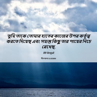 Picture 06 - গীতমালা 8:6 BENIRV - তুমি তাকে তোমার - Bible Verse Picture