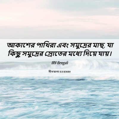 Picture 06 - গীতমালা 8:8 BENIRV - আকাশের পাখিরা এবং - Bible Verse Picture