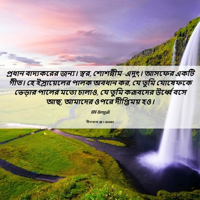 Picture 06 - গীতমালা 80:1 BENIRV - প্রধান বাদ্যকরের - Bible Verse Picture