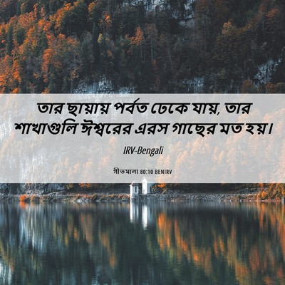 Picture 06 - গীতমালা 80:10 BENIRV - তার ছায়ায় পর্বত - Bible Verse Picture
