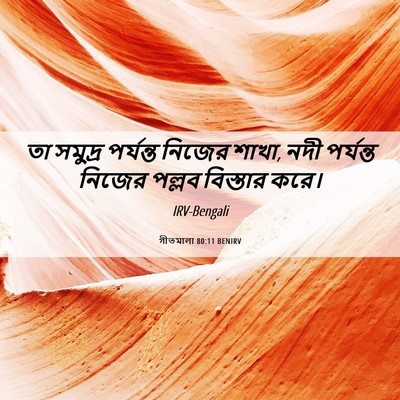 Picture 06 - গীতমালা 80:11 BENIRV - তা সমুদ্র পর্যন্ত - Bible Verse Picture