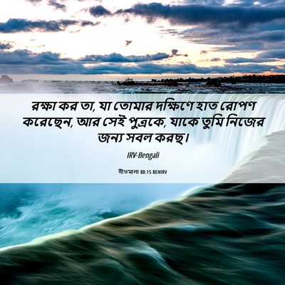 Picture 06 - গীতমালা 80:15 BENIRV - রক্ষা কর তা, যা - Bible Verse Picture