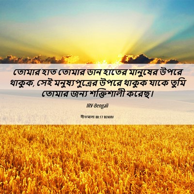 Picture 06 - গীতমালা 80:17 BENIRV - তোমার হাত তোমার - Bible Verse Picture