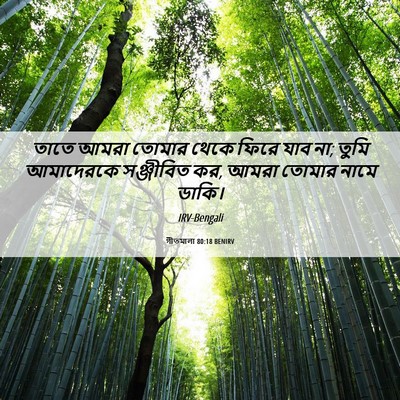 Picture 06 - গীতমালা 80:18 BENIRV - তাতে আমরা তোমার - Bible Verse Picture