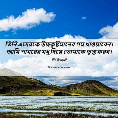 Picture 06 - গীতমালা 81:16 BENIRV - তিনি এদেরকে - Bible Verse Picture