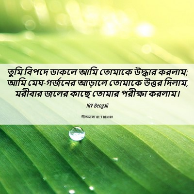 Picture 06 - গীতমালা 81:7 BENIRV - তুমি বিপদে ডাকলে - Bible Verse Picture