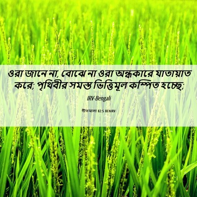 Picture 06 - গীতমালা 82:5 BENIRV - ওরা জানে না, বোঝে - Bible Verse Picture