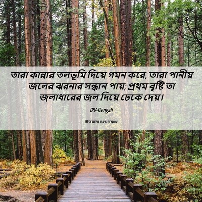 Picture 06 - গীতমালা 84:6 BENIRV - তারা কান্নার - Bible Verse Picture