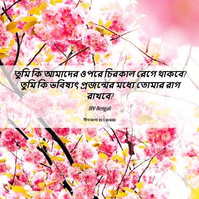 Picture 06 - গীতমালা 85:5 BENIRV - তুমি কি আমাদের - Bible Verse Picture