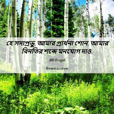 Picture 06 - গীতমালা 86:6 BENIRV - হে সদাপ্রভুু, আমার - Bible Verse Picture