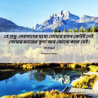 Picture 06 - গীতমালা 86:8 BENIRV - হে প্রভু, দেবতাদের - Bible Verse Picture