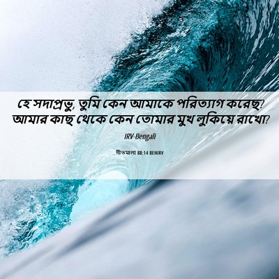 Picture 06 - গীতমালা 88:14 BENIRV - হে সদাপ্রভুু, তুমি - Bible Verse Picture