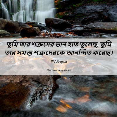Picture 06 - গীতমালা 89:42 BENIRV - তুমি তার শত্রুদের - Bible Verse Picture