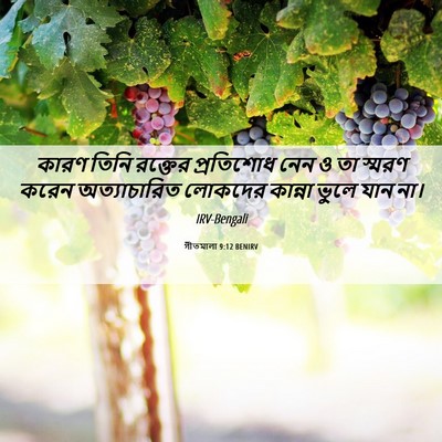 Picture 06 - গীতমালা 9:12 BENIRV - কারণ তিনি রক্তের - Bible Verse Picture