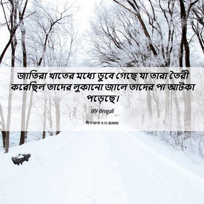 Picture 06 - গীতমালা 9:15 BENIRV - জাতিরা খাতের - Bible Verse Picture